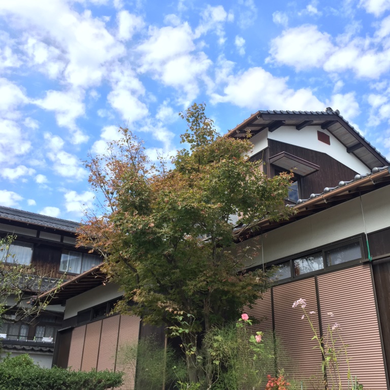 和める家へと。